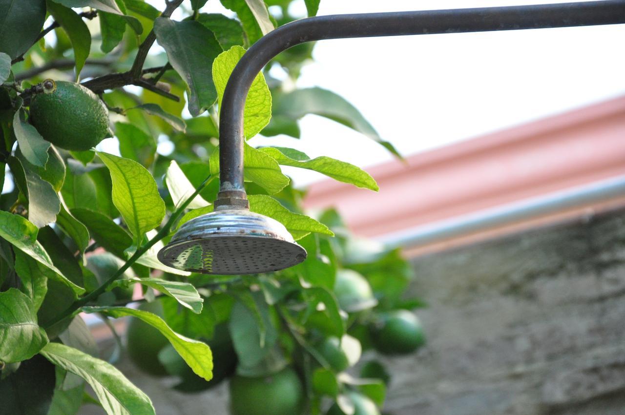 Lemon Garden Hostel Sevilla المظهر الخارجي الصورة