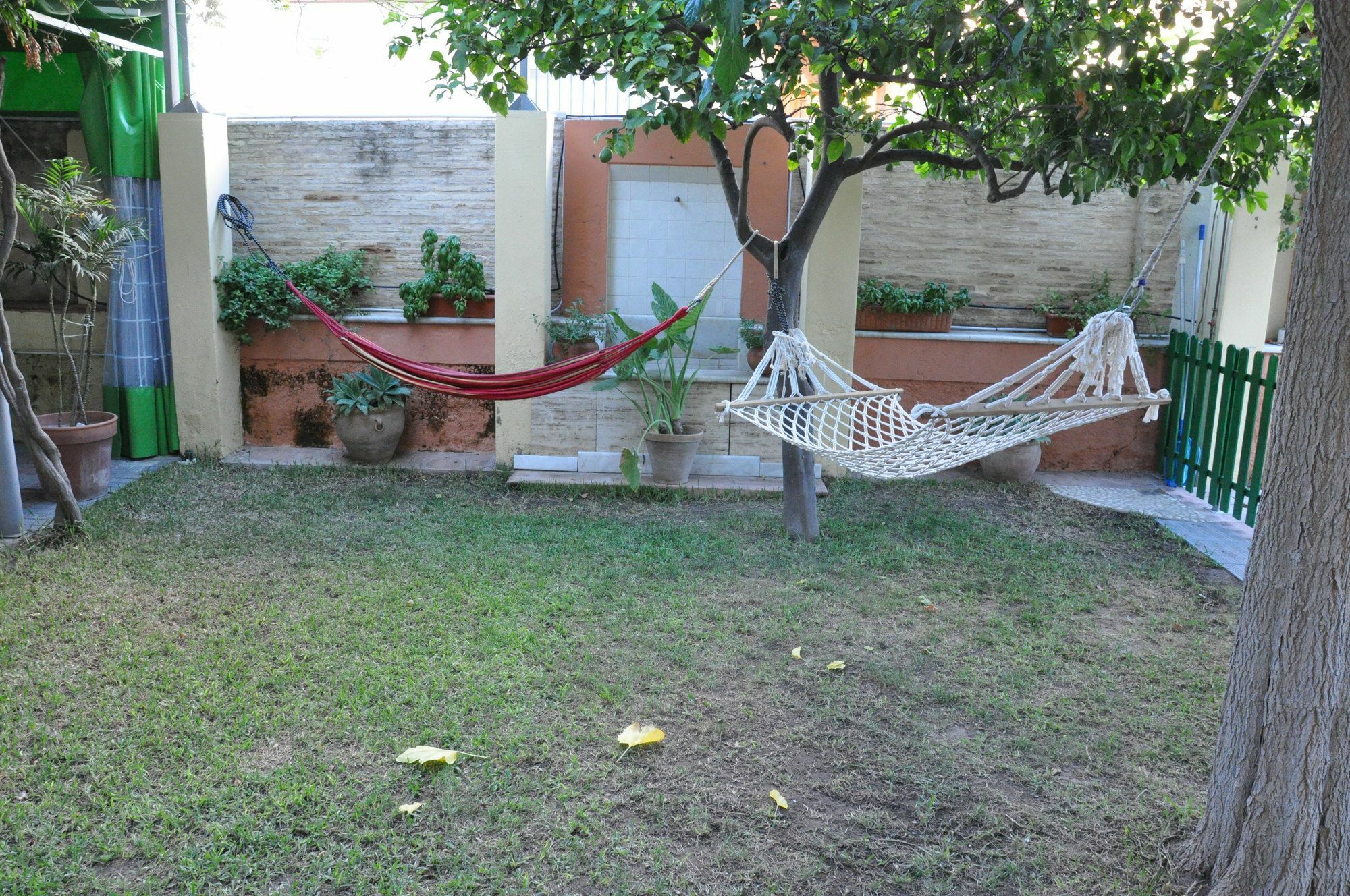 Lemon Garden Hostel Sevilla المظهر الخارجي الصورة